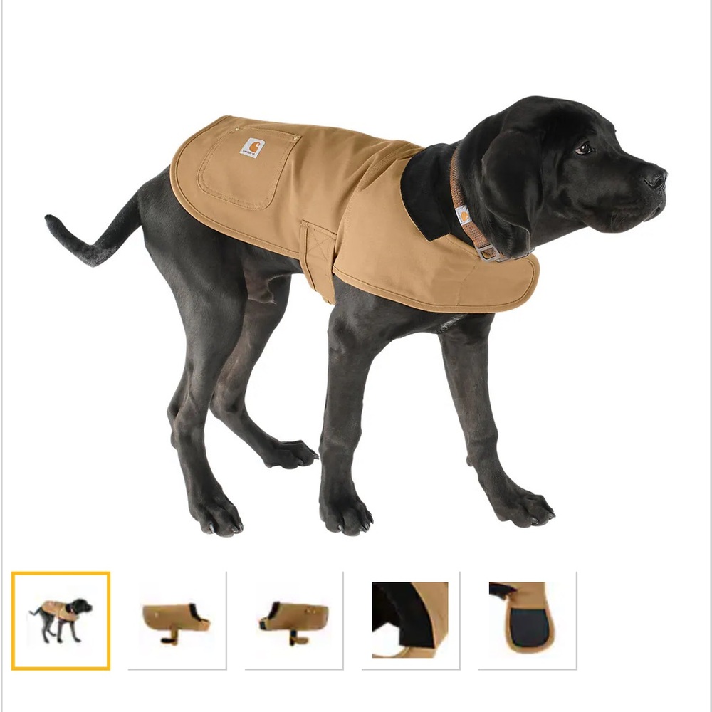 Carhartt dog chore coat, training harness & leash. NEW - Picture 2 of 12